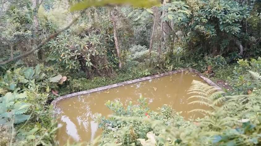 Potret Villa Angker yang Sering Dijadikan Lokasi Pembuatan Konten Horor, Dulu Super Megah Kini Terbengkalai Penuh Lumut!