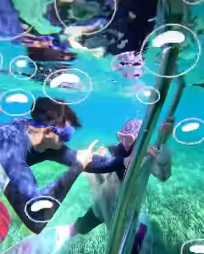 Potret Ria Ricis Main Suit di Dalam Laut, Menyelam Pakai Gamis dan Kerudung