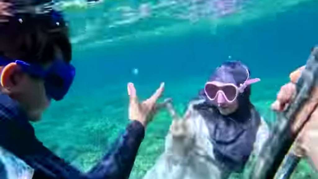Potret Ria Ricis Main Suit di Dalam Laut, Menyelam Pakai Gamis dan Kerudung