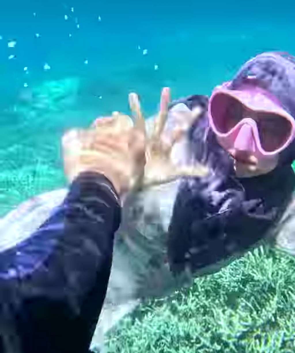 Potret Ria Ricis Main Suit di Dalam Laut, Menyelam Pakai Gamis dan Kerudung