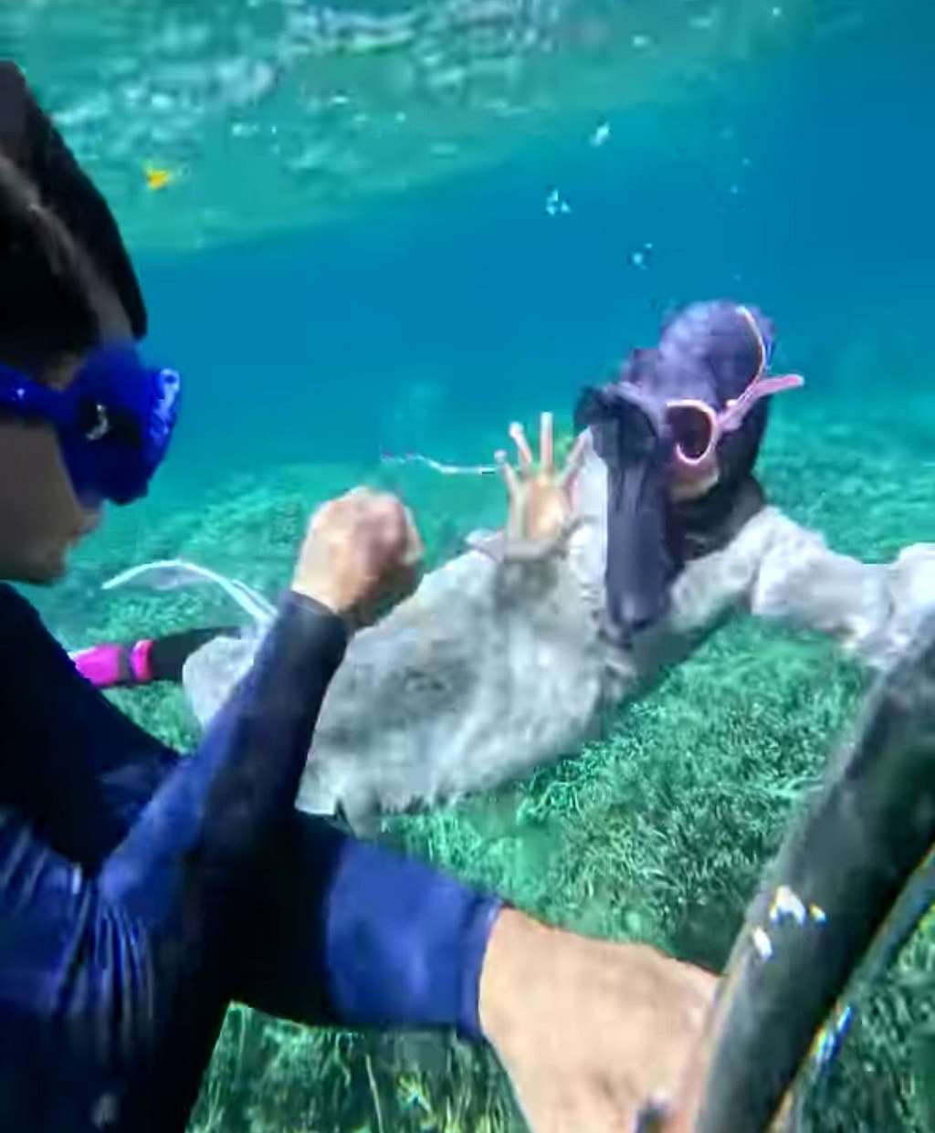 Potret Ria Ricis Main Suit di Dalam Laut, Menyelam Pakai Gamis dan Kerudung