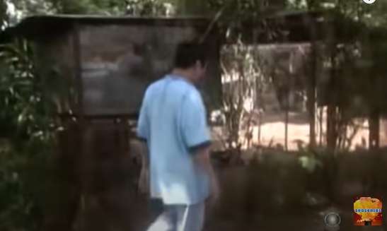 10 Potret Rumah Dono Warkop Semasa Hidup, Sultan di Zamannya, Koleksi Flora & Fauna Bak Cagar Alam!