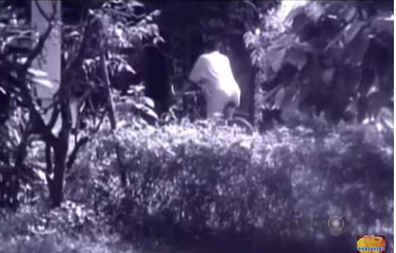 10 Potret Rumah Dono Warkop Semasa Hidup, Sultan di Zamannya, Koleksi Flora & Fauna Bak Cagar Alam!