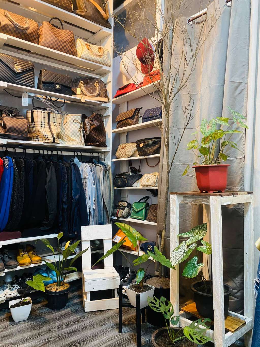 Luarnya Jelek Berdinding Triplek, Rumah ini Dalamnya Super Mewah, Bak Masuk Toko Fashion Kelas Dunia, Ini 10 Potretnya
