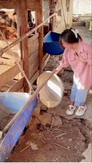 Tak Banyak yang Tahu, Peternak Sapi Ini Ternyata Orangtua Artis Terkenal, Penampakan Rumahnya Bikin Syok!