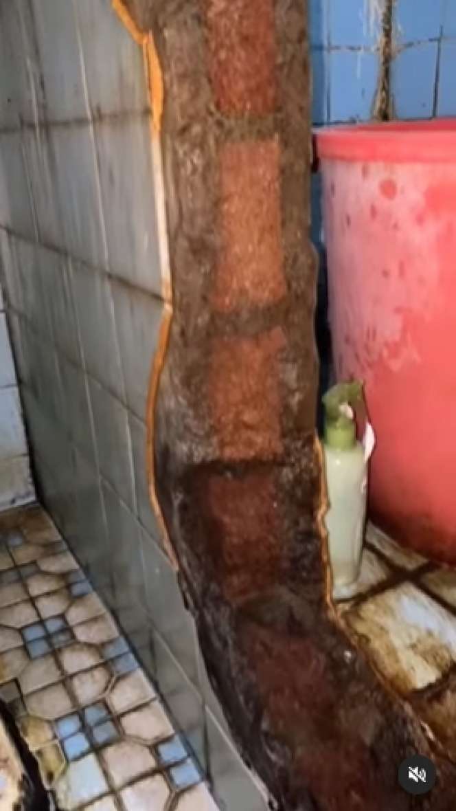Wanita `Sombong` Review Kamar Mandi Jorok di Rumahnya dengan Gaya Kocak, Ini 9 Potretnya Bikin Netizen Mual