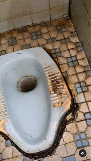 Wanita `Sombong` Review Kamar Mandi Jorok di Rumahnya dengan Gaya Kocak, Ini 9 Potretnya Bikin Netizen Mual