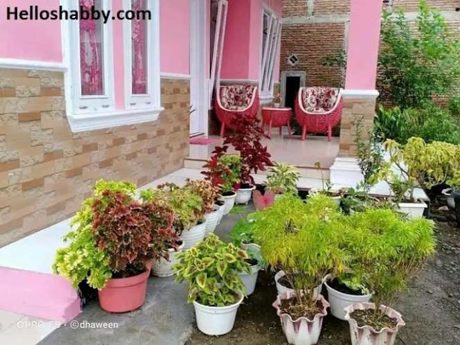 Potret Rumah Serba Pink di Tengah Desa, Tampilannya Super Cantik, Bikin Betah Seharian!