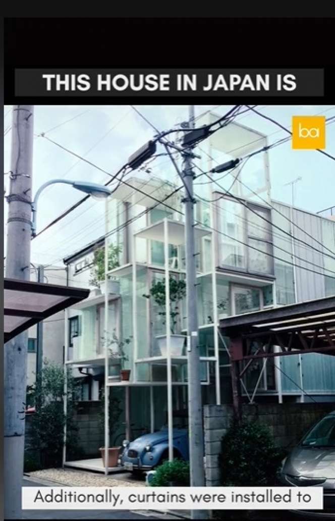 Penampakan Rumah Transparan yang Bisa Tembus Pandang, Tampilannya Super Unik, Terinspirasi Dari Pohon!