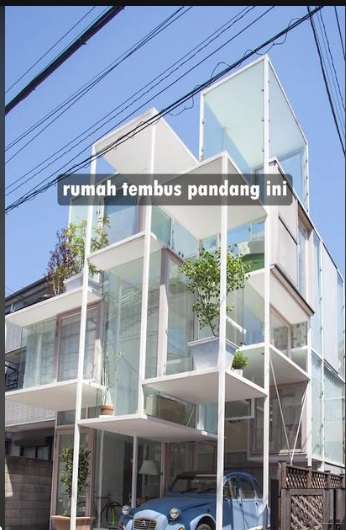 Penampakan Rumah Transparan yang Bisa Tembus Pandang, Tampilannya Super Unik, Terinspirasi Dari Pohon!