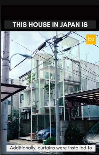 Penampakan Rumah Transparan yang Bisa Tembus Pandang, Tampilannya Super Unik, Terinspirasi Dari Pohon!