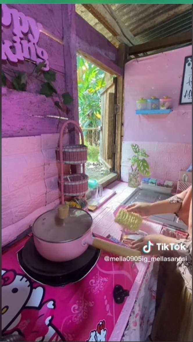 Terbuat Dari Papan Kayu, Rumah Ini Didesain Serba Pink, Tampilannya Super Cantik!
