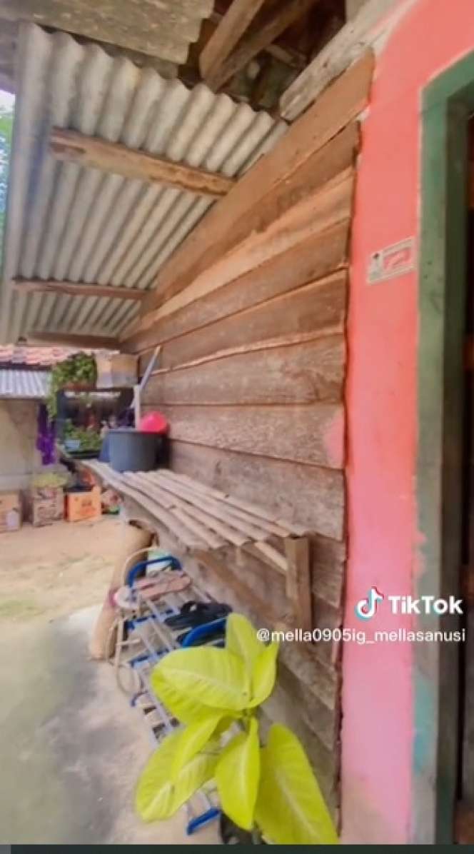Terbuat Dari Papan Kayu, Rumah Ini Didesain Serba Pink, Tampilannya Super Cantik!