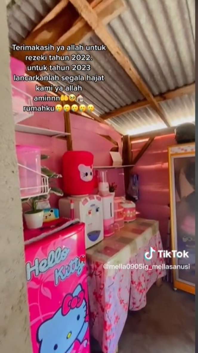 Terbuat Dari Papan Kayu, Rumah Ini Didesain Serba Pink, Tampilannya Super Cantik!