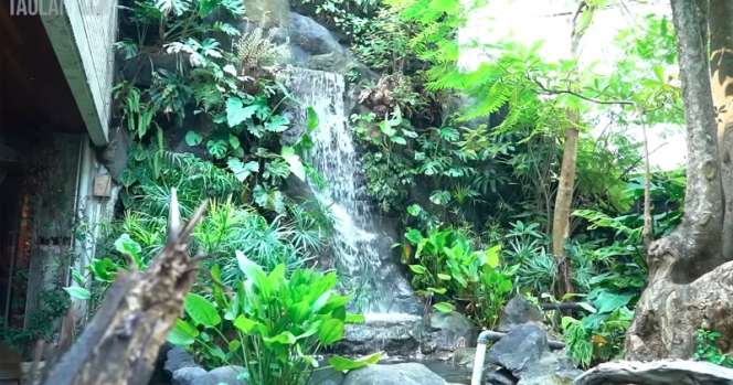 Potret Kantor Baim Wong yang Punya Air Terjun dalam Ruangan