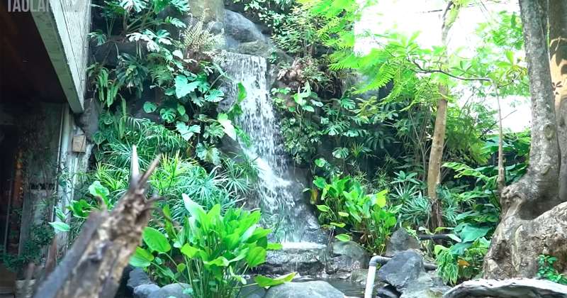 Potret Kantor Baim Wong yang Punya Air Terjun dalam Ruangan