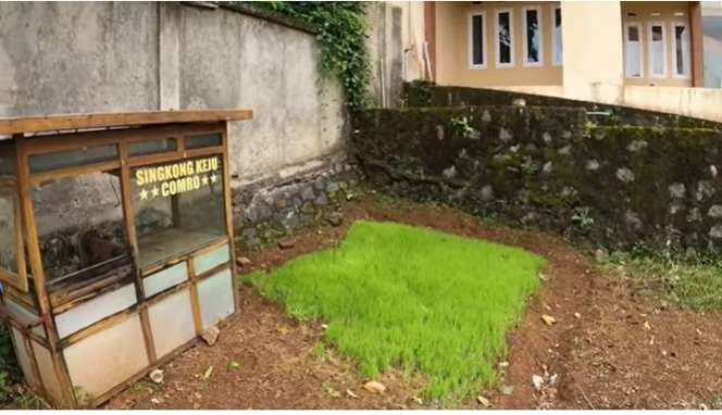 Rumah Mewah di Tengah Kampung Ini Dikira Punya Pejabat, Ternyata Milik Warga Setempat, Tak Disangka Ini Profesinya…