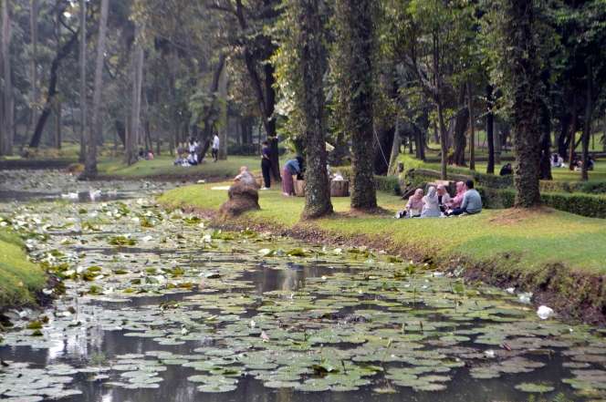 Bak di Eropa! Potret Taman Langsat 'Surganya' Para Konten Kreatif