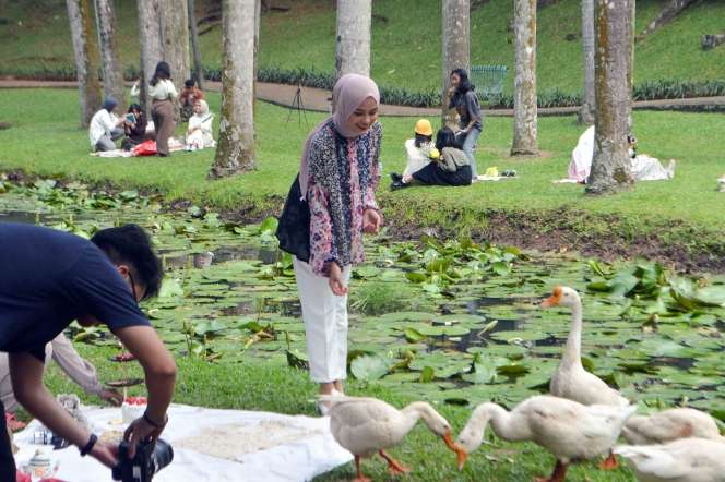 Bak di Eropa! Potret Taman Langsat 'Surganya' Para Konten Kreatif