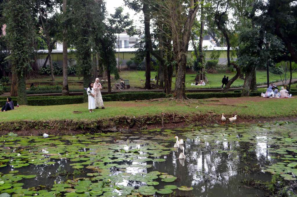 Bak di Eropa! Potret Taman Langsat 'Surganya' Para Konten Kreatif