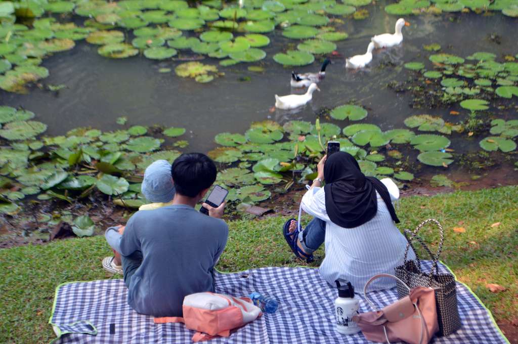 Bak di Eropa! Potret Taman Langsat 'Surganya' Para Konten Kreatif