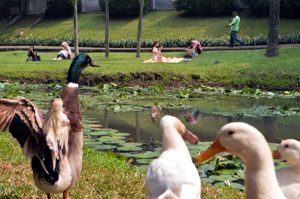 Bak di Eropa! Potret Taman Langsat 'Surganya' Para Konten Kreatif