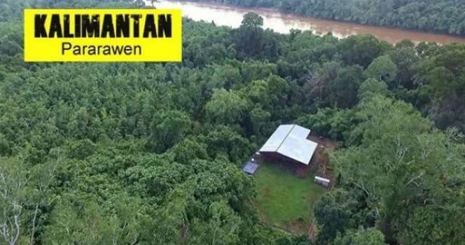 Potret Rumah Artis di Tengah Hutan yang Jarang Tersorot