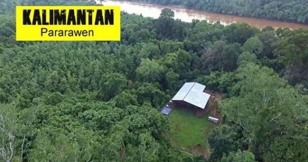 Potret Rumah Artis di Tengah Hutan yang Jarang Tersorot
