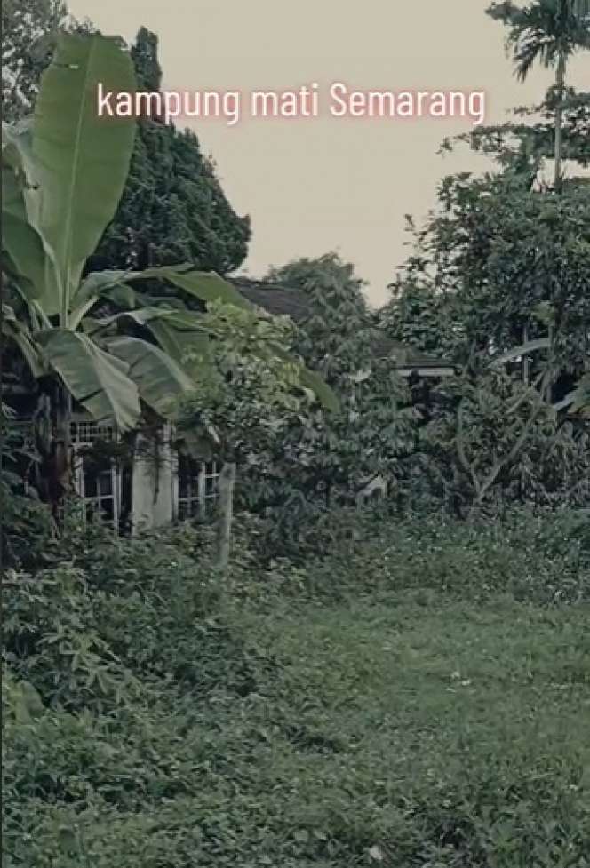 Ada Mitos Arwah Kakek yang Sering Muncul, Ini Penampakan Kampung Mati di Semarang, Kini Sepi Tak Berpenghuni!