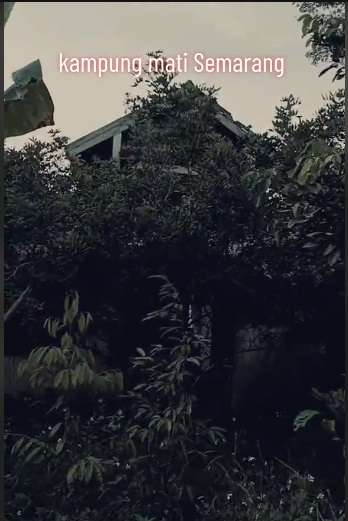 Ada Mitos Arwah Kakek yang Sering Muncul, Ini Penampakan Kampung Mati di Semarang, Kini Sepi Tak Berpenghuni!