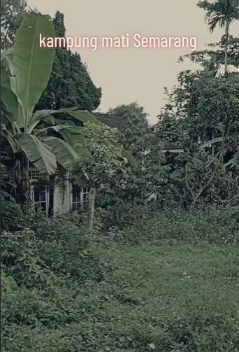 Ada Mitos Arwah Kakek yang Sering Muncul, Ini Penampakan Kampung Mati di Semarang, Kini Sepi Tak Berpenghuni!