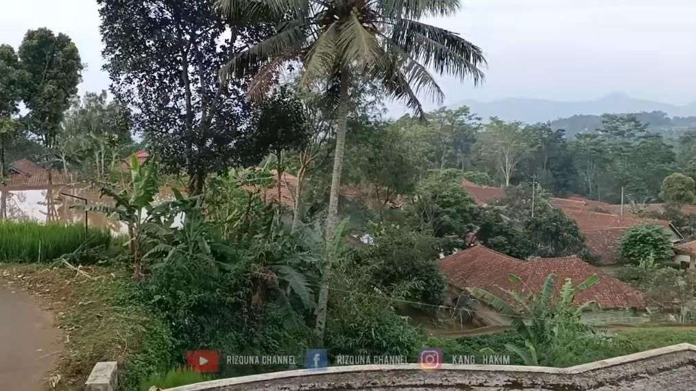 Viral Rumah Megah di Pinggir Sawah, Dikira Milik Pejabat Ternyata Penjual Siomay, Lihat Potretnya