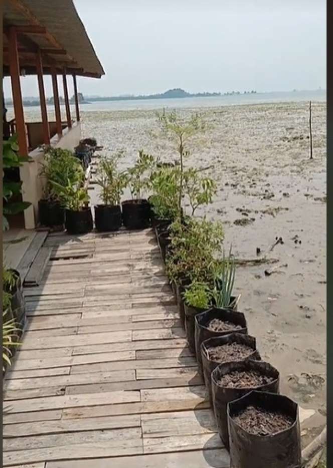Potret Rumah Unik di Atas Air Laut, Tak Disangka Begini Penampakannya Saat Surut!