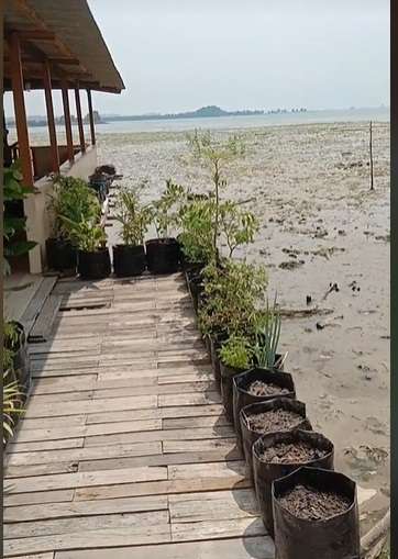 Potret Rumah Unik di Atas Air Laut, Tak Disangka Begini Penampakannya Saat Surut!