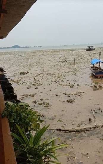 Potret Rumah Unik di Atas Air Laut, Tak Disangka Begini Penampakannya Saat Surut!