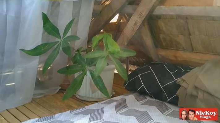 Pasangan Suami Istri Ini Renovasi Bagian Rooftop Jadi Kamar Super Estetik, Tak Disangka Begini Potretnya!
