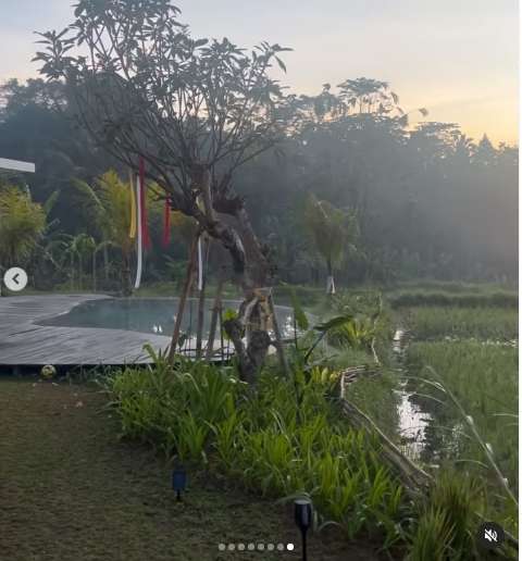 10 Potret Rumah Mertua Titi Kamal di Pinggir Sawah, Bak Istana di Film Hollywood, Ternyata The Real Sultan!