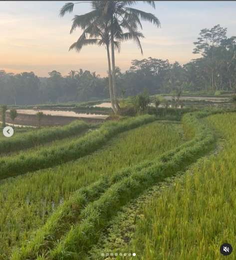 10 Potret Rumah Mertua Titi Kamal di Pinggir Sawah, Bak Istana di Film Hollywood, Ternyata The Real Sultan!
