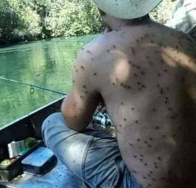 Deretan Foto Ini Langsung Bikin Merinding Hanya Dengan Sekali Lihat, Berani Coba?