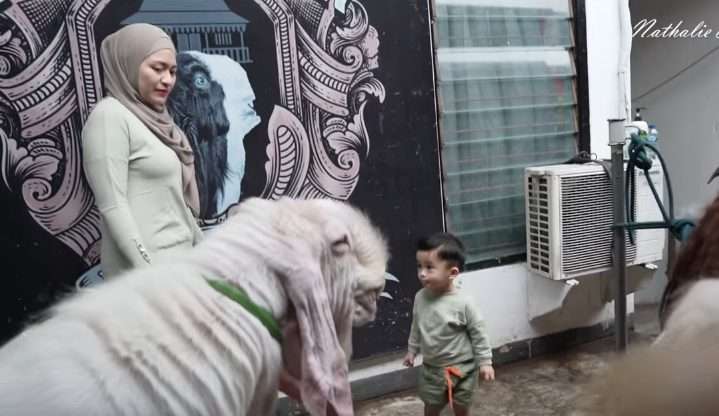 Potret Nathalie Holscher Bawa Kambing Adzam Naik Alphard 