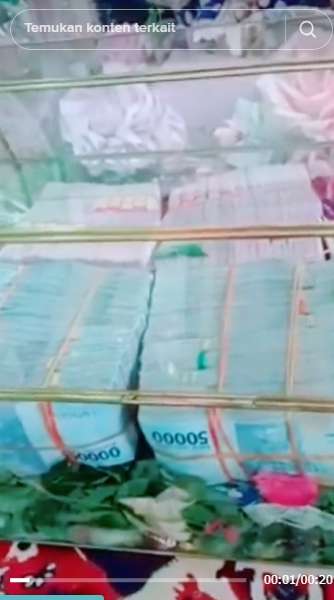 Viral Pernikahan Wanita Bercadar di Kalimantan, Mahar Miliaran Hingga Mobil Mewah, Ini Potretnya Bikin Iri
