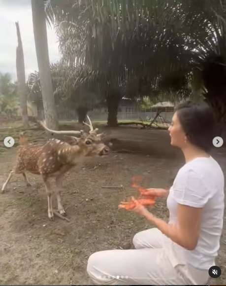 10 Potret Rumah Raline Shah di Kampung, Ada Kebun Binatang Pribadi, Netter: Ini Baru Keluarga Sultan!