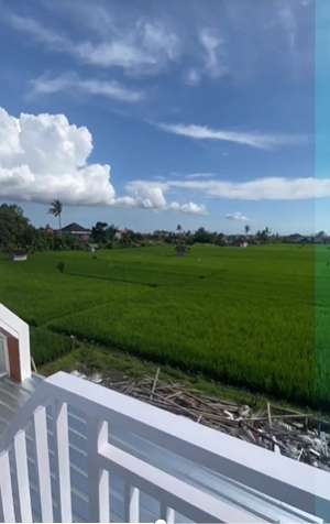 Viral Rumah Mewah di Tengah-Tengah Sawah, Ada Sungai Mengalir Bak Istana, Netizen: Enak Nggak Ada Tetangga Julid