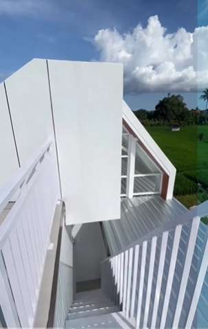 Viral Rumah Mewah di Tengah-Tengah Sawah, Ada Sungai Mengalir Bak Istana, Netizen: Enak Nggak Ada Tetangga Julid