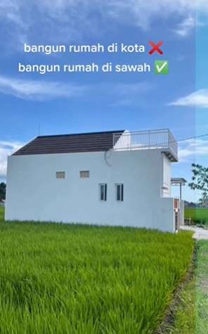 Viral Rumah Mewah di Tengah-Tengah Sawah, Ada Sungai Mengalir Bak Istana, Netizen: Enak Nggak Ada Tetangga Julid