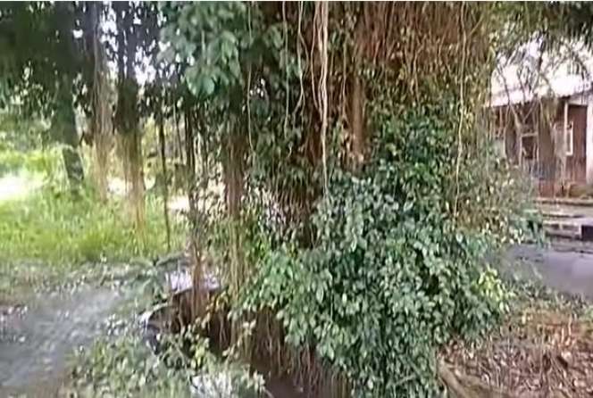 Penampakan Kampung Artis yang Sering Dijadikan Lokasi Syuting, Kini Kondisinya Bikin Bulu Kuduk Merinding!