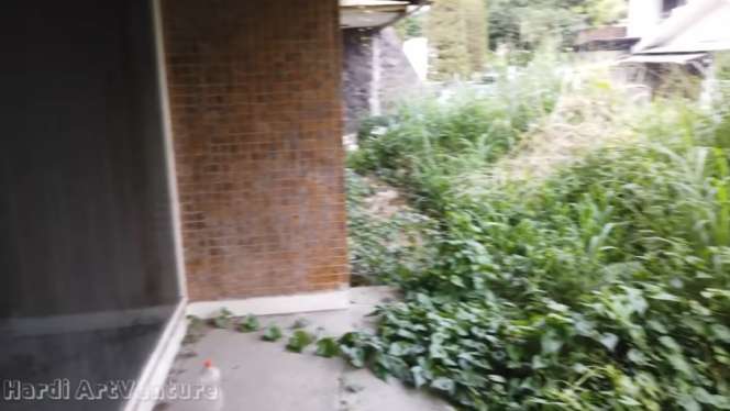 Potret Rumah Mewah Milik Artis Era 90-an, Kini Terbengkalai Bak Hutan Rimbun, Sisakan Aura Mencekam!