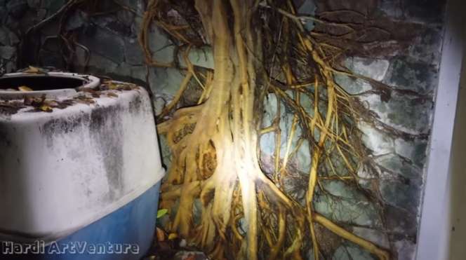 Potret Rumah Mewah Milik Artis Era 90-an, Kini Terbengkalai Bak Hutan Rimbun, Sisakan Aura Mencekam!