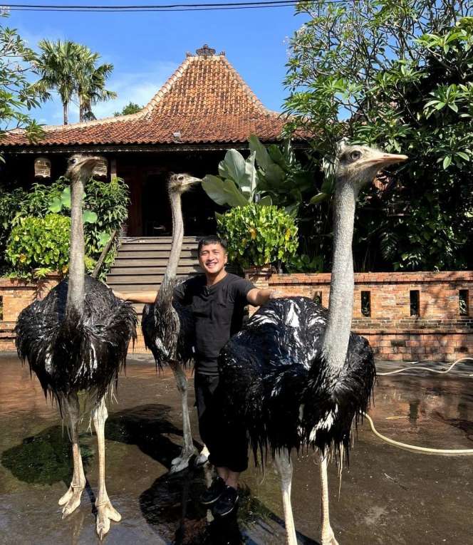 10 Potret Rumah Artis ini Punya Kebun Binatang Pribadi, Raline Shah Lebih Sultan dari Raffi Ahmad!