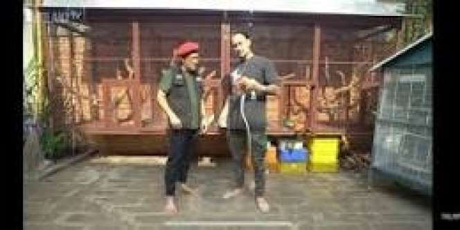 10 Potret Rumah Artis ini Punya Kebun Binatang Pribadi, Raline Shah Lebih Sultan dari Raffi Ahmad!